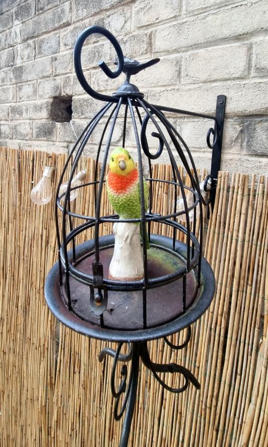 Appartement Amazing Flat With Garden, Vinohrady Near Center